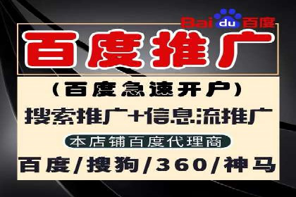 SEM代运营经典案例解析与启示